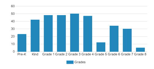 St. John The Evangelist Notre Dame Ace Academy Student By Grade St. John The Evangelist Notre Dame Ace Academy Student By Grade