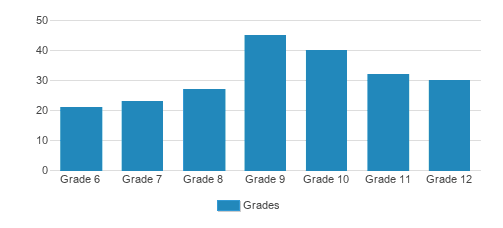 Willows Academy Student By Grade Willows Academy Student By Grade