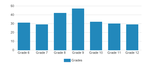 Willows Academy Student By Grade Willows Academy Student By Grade