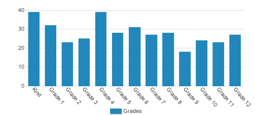 Cedar Ridge Christian School Student By Grade Cedar Ridge Christian School Student By Grade