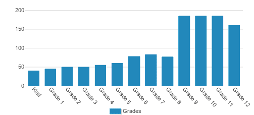 Divine Child Elementary & High School Student By Grade Divine Child Elementary & High School Student By Grade