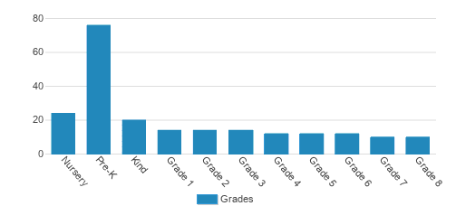 Rochester Montessori School Student By Grade Rochester Montessori School Student By Grade