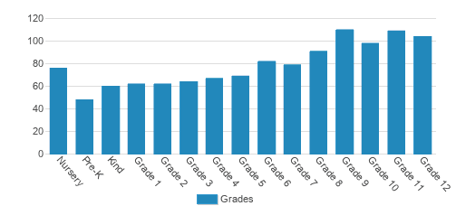 The Pembroke Hill School Student By Grade The Pembroke Hill School Student By Grade