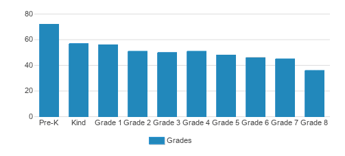 Chinese American International School Student By Grade Chinese American International School Student By Grade