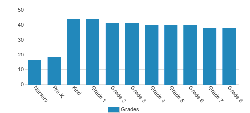 The Town School Student By Grade The Town School Student By Grade