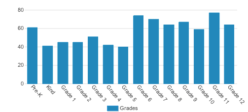 Cape Fear Academy Student By Grade Cape Fear Academy Student By Grade