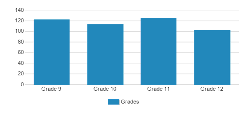 Mcauley High School Student By Grade Mcauley High School Student By Grade