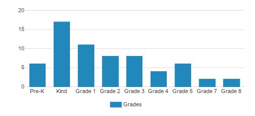 The Silver Academy Student By Grade 
