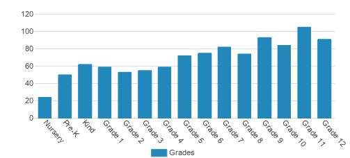 Ben Lippen School Student By Grade Ben Lippen School Student By Grade