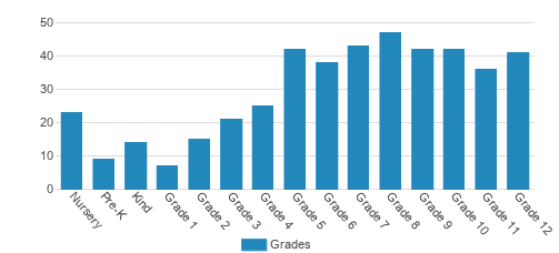 Currey Ingram Academy Student By Grade Currey Ingram Academy Student By Grade