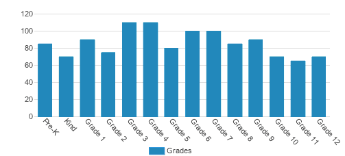 The British International School Of Houston Student By Grade The British International School Of Houston Student By Grade
