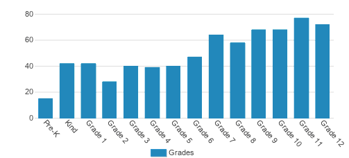 The Steward School Student By Grade The Steward School Student By Grade