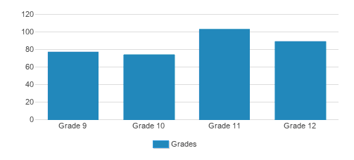 Louisville High School Student By Grade 