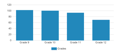 Mary Star Of The Sea High School Student By Grade Mary Star Of The Sea High School Student By Grade