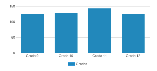 Mary Star Of The Sea High School Student By Grade Mary Star Of The Sea High School Student By Grade
