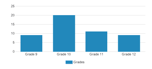 Avail Academy High School Student By Grade Avail Academy High School Student By Grade