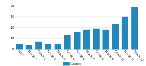 Chrysalis School Student By Grade Chrysalis School Student By Grade