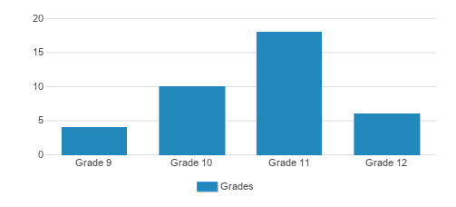 Blessed Hope Academy Student By Grade Blessed Hope Academy Student By Grade
