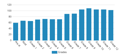 Divine Savior Academy Student By Grade 