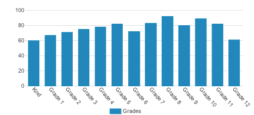 Regents School Of Austin Student By Grade Regents School Of Austin Student By Grade
