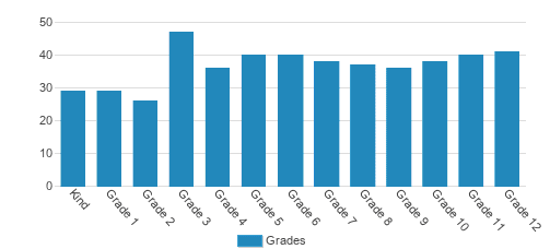 Island Pacific Academy Student By Grade Island Pacific Academy Student By Grade