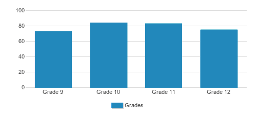 St. Andrew's School Student By Grade St. Andrew's School Student By Grade