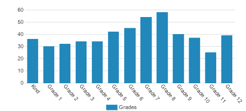 The Epiphany School Of Global Studies Student By Grade The Epiphany School Of Global Studies Student By Grade