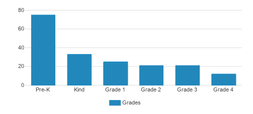 Academy For Young Learners Inc Student By Grade Academy For Young Learners Inc Student By Grade