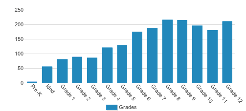 Bridgeway Academy Student By Grade Bridgeway Academy Student By Grade