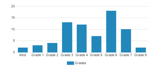 The Diener School Student By Grade The Diener School Student By Grade