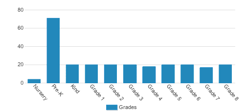 Good Shepherd Academy Student By Grade Good Shepherd Academy Student By Grade