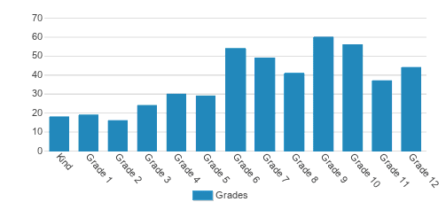 Dawson School Student By Grade Dawson School Student By Grade