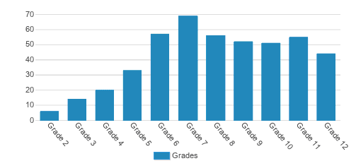 Denver Academy Student By Grade Denver Academy Student By Grade