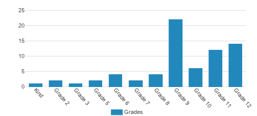 The Learning Clinic Student By Grade The Learning Clinic Student By Grade