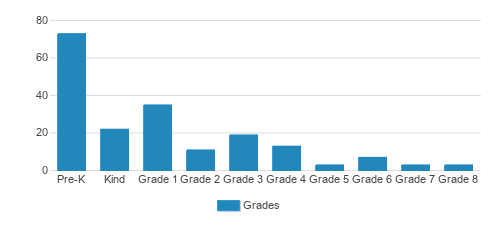 Bayer Private School Student By Grade Bayer Private School Student By Grade