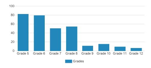 Willows Preparatory School Student By Grade Willows Preparatory School Student By Grade