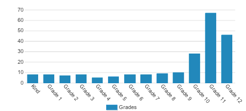 Orion International Academy Student By Grade Orion International Academy Student By Grade