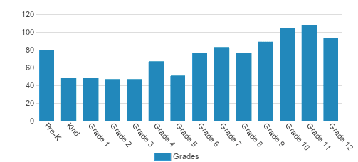 Community School Of Naples Student By Grade Community School Of Naples Student By Grade