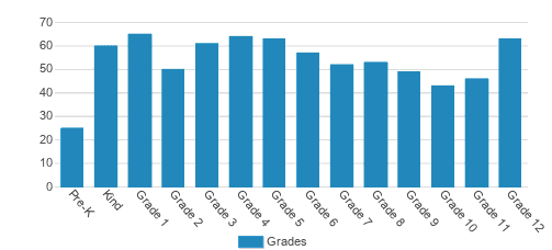The Geneva School Student By Grade 