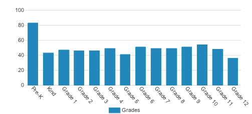Trinity Christian Academy Student By Grade Trinity Christian Academy Student By Grade