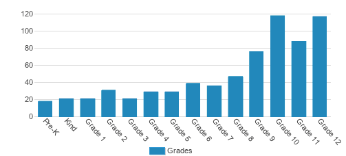 Darlington School Student By Grade Darlington School Student By Grade