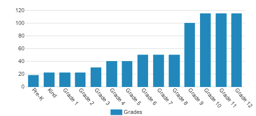 Darlington School Student By Grade Darlington School Student By Grade