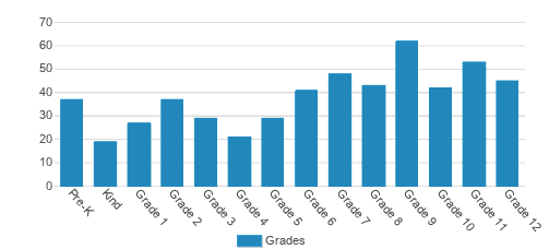 Lakeview Academy Student By Grade Lakeview Academy Student By Grade