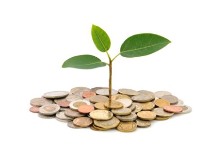 Scholarship Funding Organizations