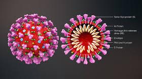 Dealing With The Pandemic: Parents' Concerns About School Reopening
