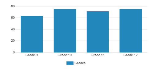 Drew School Student By Grade 