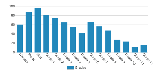 Silicon Valley International School Student By Grade 
