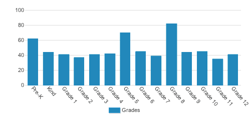 Yeshiva & Mesivta Torah Temimah Student By Grade 