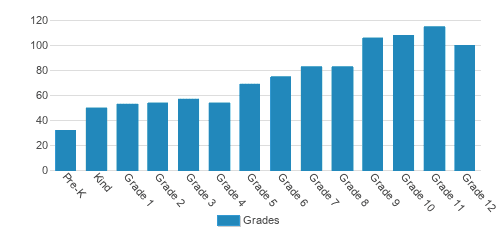 Cannon School Student By Grade 