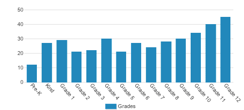 Lake Ridge Academy Student By Grade 